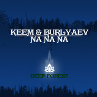 Thumbnail for the Keem - Na Na Na link, provided by host site