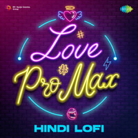 Thumbnail for the Lucky Ali - Na Tum Jano Na Hum (LoFi) link, provided by host site