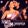 Thumbnail for the Anand Milind - Naam Gum Jaayega (Original Motion Picture Soundtrack) link, provided by host site