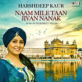 Thumbnail for the Harshdeep Kaur - Naam Mile Taan Jivan Nanak link, provided by host site