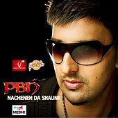 Thumbnail for the Malkit Singh - Nacheneh Da link, provided by host site