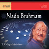 Image of T. V. Gopalakrishnan linking to their artist page due to link from them being at the top of the main table on this page