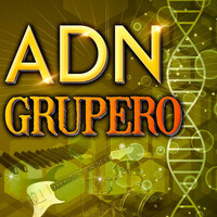 Thumbnail for the Los Yonic's - Nadie Sabe Lo Que Tiene link, provided by host site