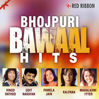 Thumbnail for the Udit Narayan - Nadiya Ke Teere link, provided by host site