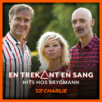 Thumbnail for the Martin Brygmann - Nærmest Lykkelig link, provided by host site
