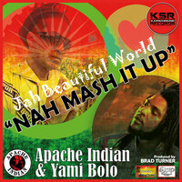 Thumbnail for the Apache Indian - Nah Mash It Up link, provided by host site