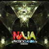 Thumbnail for the Patrick Sandim - Naja link, provided by host site