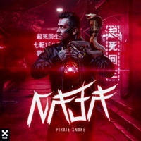 Thumbnail for the Pirate Snake - Naja (Extended) link, provided by host site