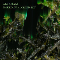 Thumbnail for the Abraham - Naked in a Naked Sky link, provided by host site
