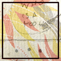 Thumbnail for the Alabaster DePlume - Naked Like Water link, provided by host site