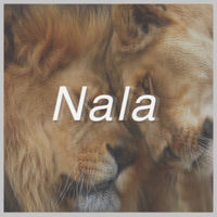 Thumbnail for the MMYYKK - Nala link, provided by host site