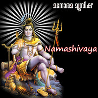 Thumbnail for the Madhu Balakrishnan - Namashivaya link, provided by host site