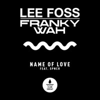 Thumbnail for the Franky Wah - Name of Love link, provided by host site