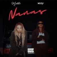 Thumbnail for the Mekko - Nanas link, provided by host site