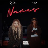 Thumbnail for the Mekko - Nanas link, provided by host site