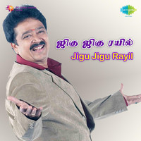 Thumbnail for the Vani Jairam - Nanoru Nadigai link, provided by host site