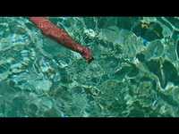 Thumbnail for the Conor Oberst - Napalm link, provided by host site