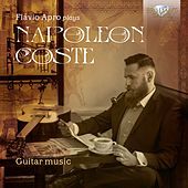 Thumbnail for the Flavio Apro - Napoléon Coste: Guitar Music link, provided by host site