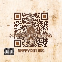 Thumbnail for the Nappy Roots - Nappy Dot Org link, provided by host site