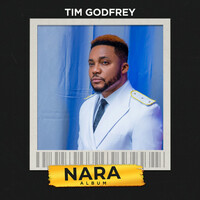 Thumbnail for the Tim Godfrey - Nara link, provided by host site