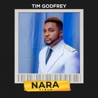 Image of Tim Godfrey linking to their artist page due to link from them being at the top of the main table on this page