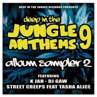 Thumbnail for the DJ Gaw - Nation link, provided by host site