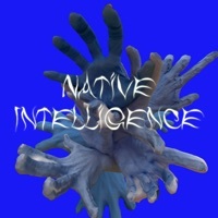 Thumbnail for the Danny Elfman - Native Intelligence link, provided by host site