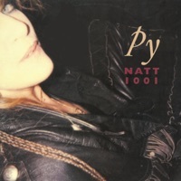 Thumbnail for the Py Bäckman - Natt 1001 link, provided by host site