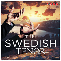 Thumbnail for the Ture Rangström - Natt link, provided by host site