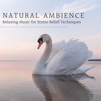 Thumbnail for the Nature Ambience - Natural Ambience - Relaxing Music for Stress Relief Techniques link, provided by host site
