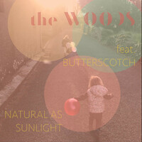 Thumbnail for the The Woods - Natural As Sunlight link, provided by host site