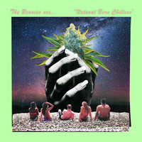 Thumbnail for the The Bennies - Natural Born Chillers link, provided by host site