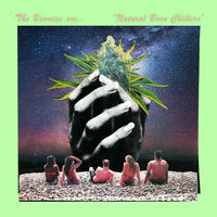 Thumbnail for the The Bennies - Natural Born Chillers link, provided by host site