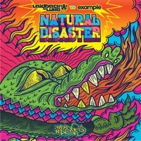 Thumbnail for the Laidback Luke - Natural Disaster (Benny Benassi Extended Remix) link, provided by host site