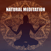 Thumbnail for the The Rest - Natural Meditation – Relaxing Music, Soft Nature Sounds, Yoga Practice, Mindfulness, Rest link, provided by host site
