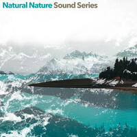 Thumbnail for the Nature Sound Series - Natural Nature Sound Series link, provided by host site