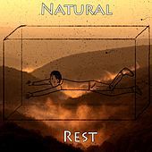 Thumbnail for the The Rest - Natural Rest link, provided by host site