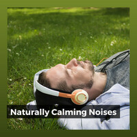 Thumbnail for the Sounds of Nature White Noise for Mindfulness Meditation and Relaxation - Naturally Calming Noises link, provided by host site