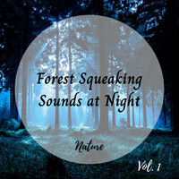 Thumbnail for the Nature Hiker - Nature: Forest Squeaking Sounds at Night Vol. 1 link, provided by host site