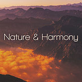 Thumbnail for the The Rest - Nature & Harmony – Calmness, New Age Music, Peaceful Mind, Calming Music, Nature Sounds, Zen, Meditation link, provided by host site