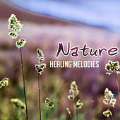 Thumbnail for the The Rest - Nature Healing Melodies – Soft New Age Music, Healing Sounds for Mind & Body, Chill a Bit link, provided by host site