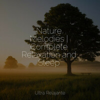 Thumbnail for the Native American Flute - Nature Melodies | Complete Relaxation and Sleep link, provided by host site
