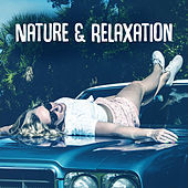 Thumbnail for the The Rest - Nature & Relaxation – Water Sounds, Deep Rest, Gentle Silence, Natural Piano, Soothing Rain, Nature Sounds, Chillout link, provided by host site
