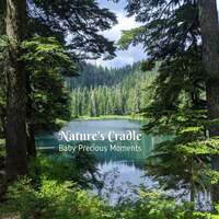 Thumbnail for the Nature Sounds Library - Nature's Cradle: Baby Precious Moments link, provided by host site