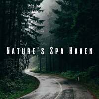 Thumbnail for the Best Relaxing SPA Music - Nature's Spa Haven: Rain and Chill Music with Soothing Insects link, provided by host site