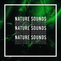Thumbnail for the Whale Sounds - Nature Sounds link, provided by host site