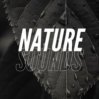 Thumbnail for the White Noise Therapy - Nature Sounds link, provided by host site