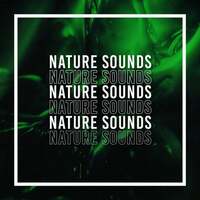 Thumbnail for the Whale Sounds - Nature Sounds link, provided by host site