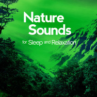 Thumbnail for the Nature Sound Collection - Nature Sounds for Sleep and Relaxation link, provided by host site