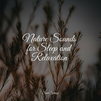 Thumbnail for the Sounds Of Nature : Thunderstorm - Nature Sounds for Sleep and Relaxation link, provided by host site